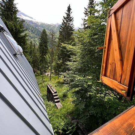 ~Chalet_Rifugio Tra I Boschi~ 塞拉内瓦 外观 照片