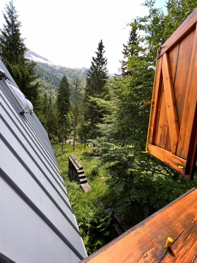 ~Chalet_Rifugio Tra I Boschi~ 塞拉内瓦 外观 照片