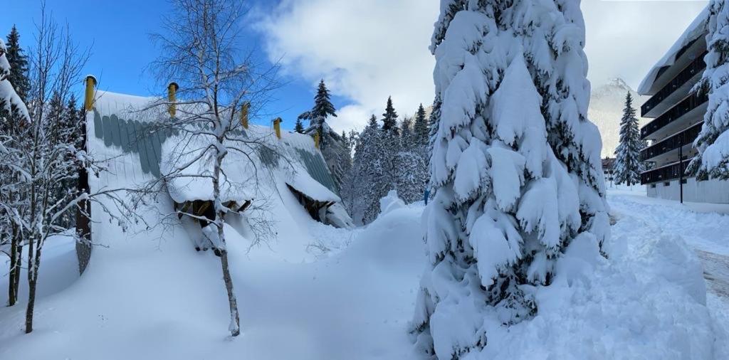 ~Chalet_Rifugio Tra I Boschi~ 塞拉内瓦 外观 照片