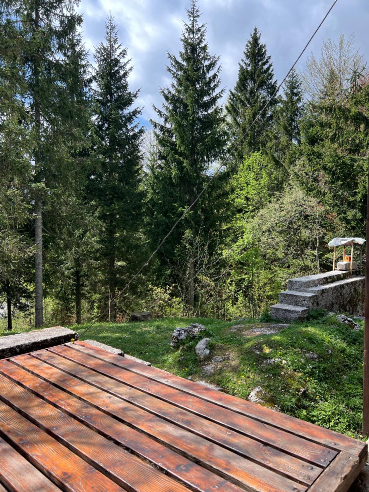 ~Chalet_Rifugio Tra I Boschi~ 塞拉内瓦 外观 照片